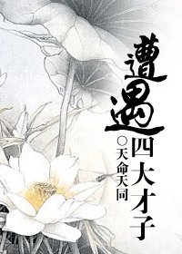 (四大才子同人)遭遇四大才子