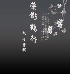 (張國榮同人)榮影鶴行