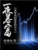 一夜暴富:我做風險投資的日子