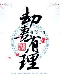劫妻有理