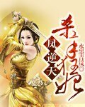 鳳逆天:殺手狂妃
