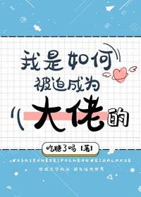 (BG/綜漫同人)我是如何被迫成為大佬的