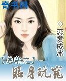 總裁之貼身玩寵