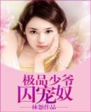 極品少爺囚寵奴
