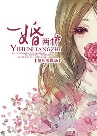 一婚兩制(高幹)