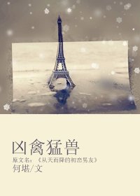 兇禽猛獸-從天而降的初戀男友