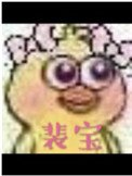 裴虹