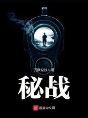 秘戰