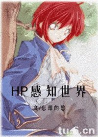 (HP同人)感知世界
