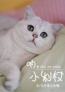 吶,小制杖