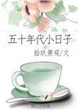 五十年代小婿子