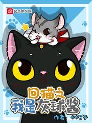 (回到過去變成貓同人)回貓之我是灰球醬