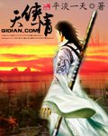 天俠情