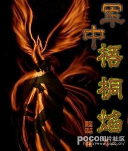 軍中梧桐焰