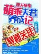 四夫爭寵:萌乖夫君養成記