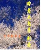 帶著大鳥尋到愛