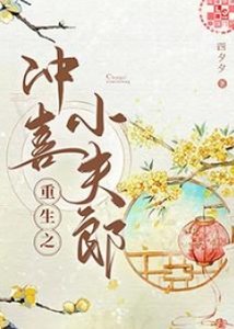 重生之沖喜小夫郎