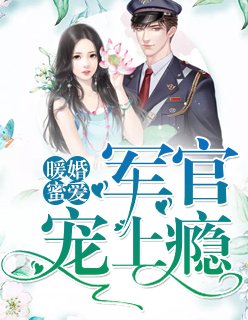 暖婚蜜愛:軍官寵上癮