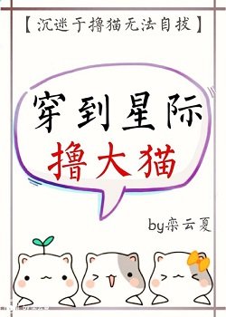 穿到星際擼大貓