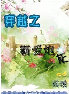 穿越之霸隘刨灰