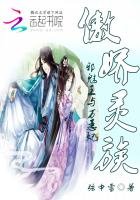 傲嬌靈族:邪魅王與萬惡妃