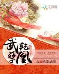 鳳儀九天:武乾孽凰