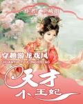 穿越游龍戲鳳:天才小王妃