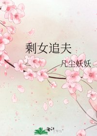 剩女追夫