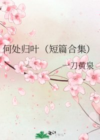 何處歸葉(短篇合集)