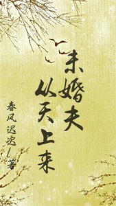 未婚夫從天上來