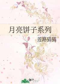 月亮餅子系列