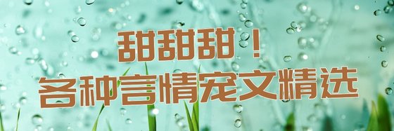 齁甜齁甜！各種言情寵文精選