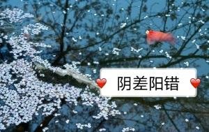 引差陽錯