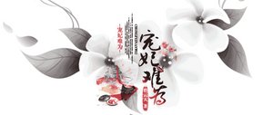 寵妃難為