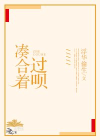 湊合著過唄
