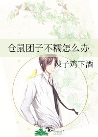 倉鼠糰子不糯怎麼辦