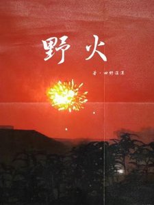 掖火