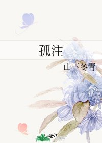 孤注