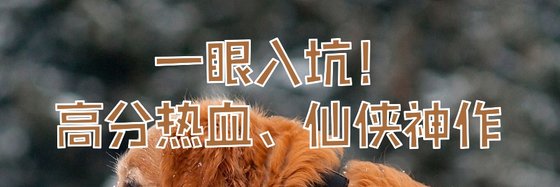 一眼入坑！高分熱血、仙俠神作