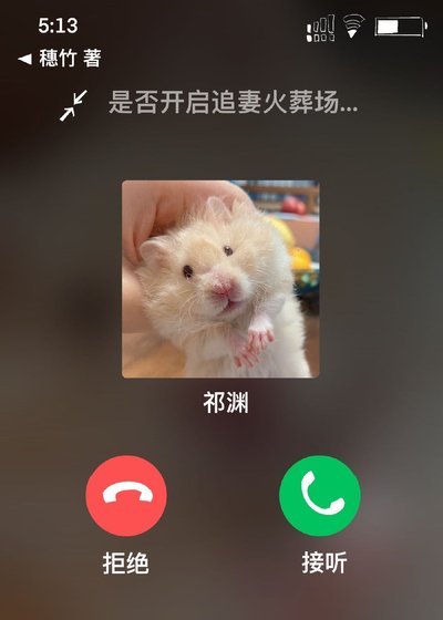 虐文霸總穿成女主的倉鼠後