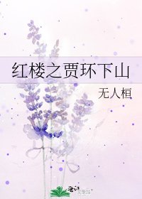 紅樓之賈環下山
