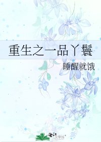 重生之一品丫鬟