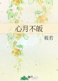 心月不皈