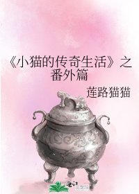 小貓的傳奇生活