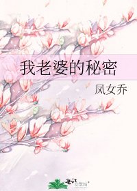 我老婆的秘密