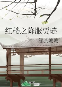 紅樓之降服賈璉