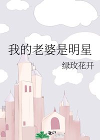 我的老婆是明星