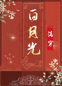 清穿之佰月光(穿書)