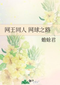 網王同人 網球之路
