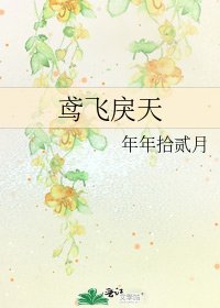 鳶飛戾天